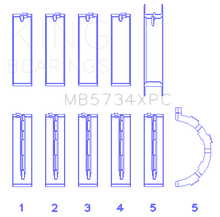 Load image into Gallery viewer, Photo - Primary