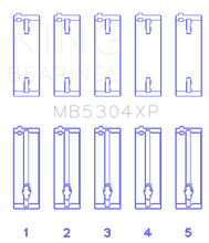 Load image into Gallery viewer, Photo - Primary