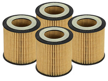 Load image into Gallery viewer, aFe Pro GUARD D2 Oil Filter 06-19 BMW Gas Cars L6-3.0T N54/55 - 4 Pack
