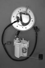 Load image into Gallery viewer, Photo - Primary
