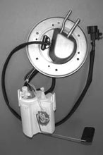 Load image into Gallery viewer, Photo - Primary
