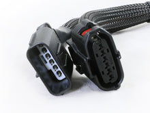 Load image into Gallery viewer, Photo - Close Up
