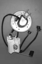 Load image into Gallery viewer, Photo - Primary
