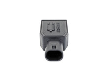 Load image into Gallery viewer, Photo - Unmounted
